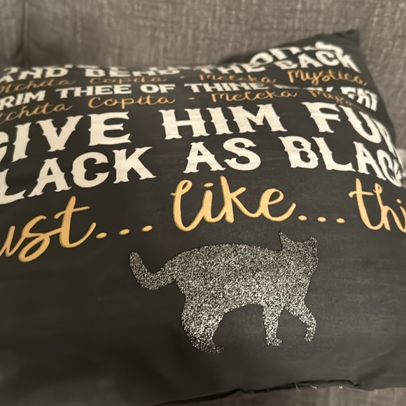 Disney Hocus Pocus Witches Spell Black Cat Sham Pillow Halloween Decor - Picture 6 of 6